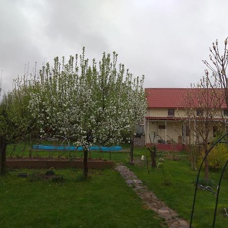 Bed and Breakfast Garden House à Almaty Extérieur photo